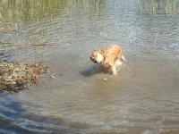 River Race Joyful Jonna